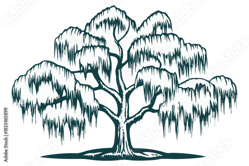 Stylized illustration of a weeping willow tree with long, drooping branches, rendered as a dark green silhouette or line art, perfect for nature or landscape design concepts, isolated on