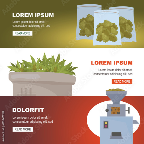 growing cannabis. Hemp Drug, marihuana cultivation concept, smoke and consumption weed. vector cartoon horizontal banner.