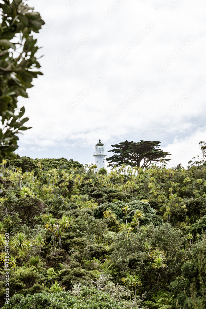 Fototapeta premium lighthouse in forest