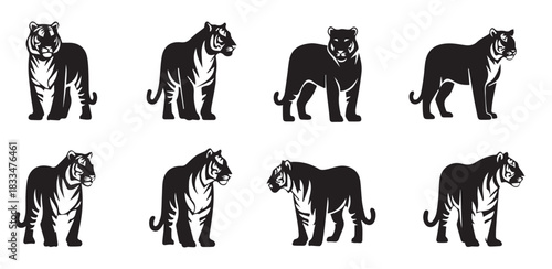 Powerful Tiger Vector Set: Wild Big Cat Mascot Collection in Various Standing and Prowling Poses - Detailed Icon Pack for Logo, Esport, Tattoo, and T-shirt Design