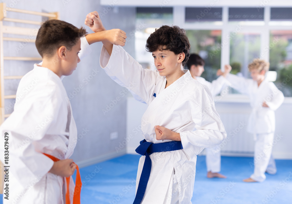 Fototapeta premium Karate kids in kimono sparring together during their group karate training at tatami in modern sports gym