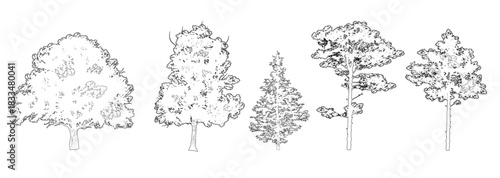 Set of line art trees, contours of symbols for architectural drawings and landscape design - vector illustration