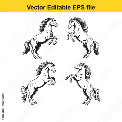  set of four rearing horse vector illustrations in black and white outline style, depicting powerful equine figures standing on hind legs against a white background