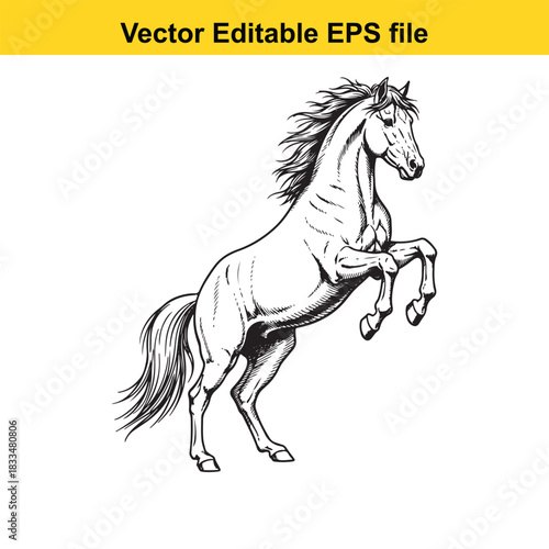  black and white vector illustration of a majestic horse rearing up on its hind legs, showcasing power and wild spirit, suitable for graphic design projects