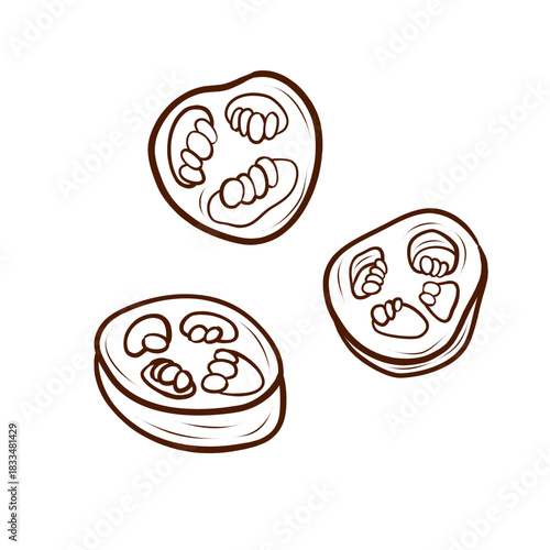 Sliced jalapeño peppers. Vector illustration drawn in a minimalist outline style. This spicy vegetable ingredient with seeds is isolated on a white background. Suitable for menus, recipes, packaging