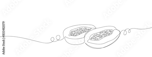Papaya cut in half in one continuous line. single line art style vector illustration. Editable stroke.