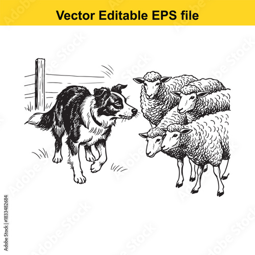  black and white vector illustration of a border collie herding dog actively working with a small group of sheep near a wooden fence post in a grassy field
