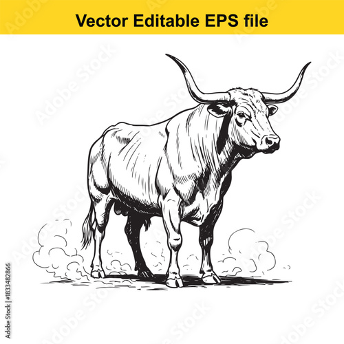  detailed black and white vector illustration of a powerful texas longhorn bull standing proudly with large curved horns, isolated on white background