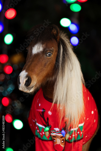 Christmas Horse Mini Miniature ugly sweater
