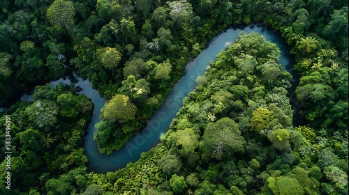 Aerial View of Green Tropical Forest with Curving River in Natural Landscape
