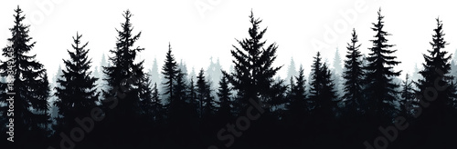 Abstract dark forest silhouette with white highlights isolated on transparent background