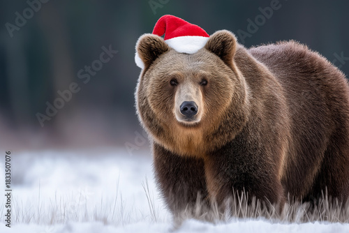 Brown bear in santa hat strolling through snowy forest