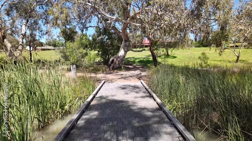 A wooden boardwalk crossing through dense wetland vegetation along Lollipop Creek in Wyndham Vale, Melbourne, Australia.Surrounded by tall reeds and mature eucalyptus trees. Wetland conservation