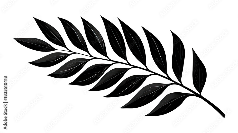 Obraz premium Olive Branch: A graceful olive branch, a symbol of peace and victory, rendered in elegant monochrome. This image evokes feelings of tranquility, and resilience