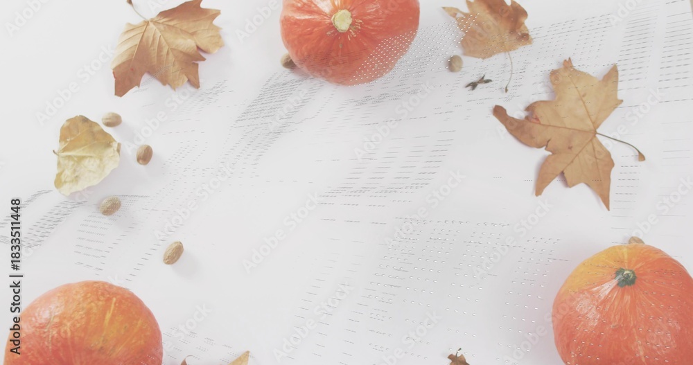 Naklejka premium Displaying mini orange pumpkins on tabletop with white eyelet cloth, dried maple leaves and seeds