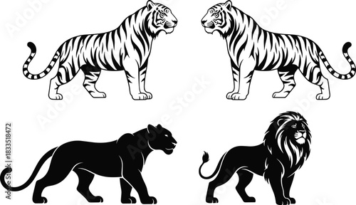 wild big cat illustrations, tiger panther lion graphics, wildlife animal silhouettes, powerful predator artwork, detailed vector design collection set