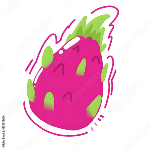dragon fruit vector illustration