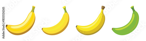 Ripe and unripe bananas illustration, healthy eating concept, tropical fruit, banana nutrition, banana