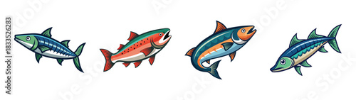 Illustration of various types of fish species including salmon and tuna for seafood market use