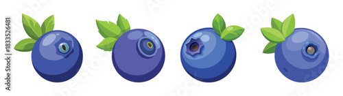 Illustration of fresh blueberries with leaves, blueberry nutrition facts and health benefits info graphic