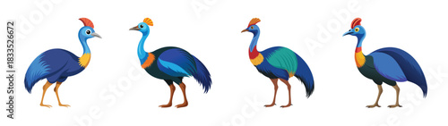 Cassowary bird illustration set vector, tropical bird drawing, flightless bird art, cassowaries