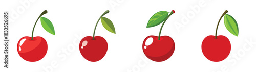 Dogwood fruit illustration set, red dogwood berries with leaves, healthy eating concept art