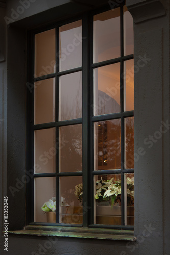 A window offering a view of the illuminated interior, decorated for Christmas with white poinsettias.