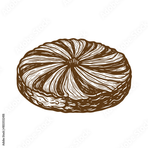 Hand drawn illustration of a delicious vintage sketch brown pie or tart for culinary themes