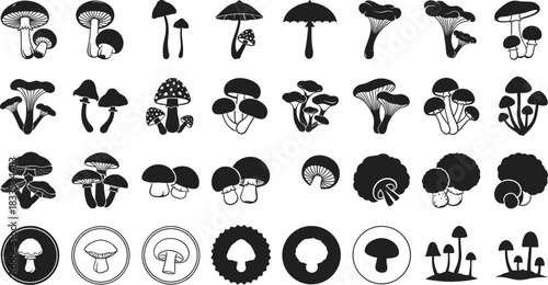 Collection of diverse black and white mushroom silhouettes