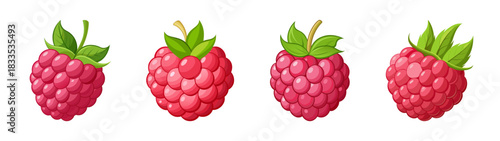 Illustration of schisandra chinensis fruit with leaves, medicinal plant vector design element