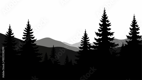 Silhouetted Pine Trees Standing Tall Against a Mountainous Backdrop.