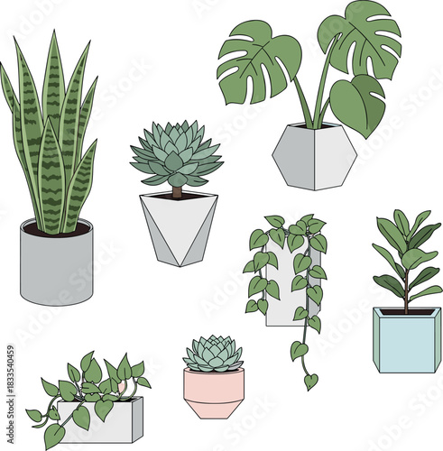Set of various potted house plants in modern geometric pots