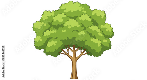 Isolated vector illustration of a deciduous tree with a full, green canopy and sturdy trunk, perfect for nature-themed designs and educational materials.