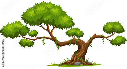 A stylized vector illustration of a mature tree with a winding trunk and full green foliage, set against a transparent background perfect for graphic design projects.