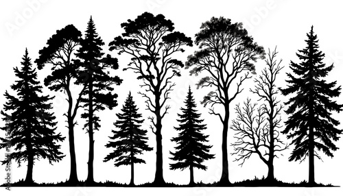 A collection of stylized tree silhouettes in black, presented as a vector graphic, perfect for design elements, showcasing diverse tree types against a clean white background.