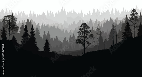 A misty forest landscape illustration showcases a dense collection of trees in grayscale, creating a serene and atmospheric vector design for various applications.