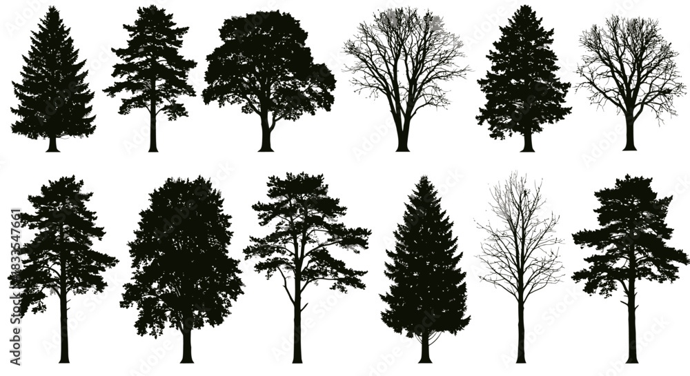Obraz premium This versatile collection features various black tree silhouettes, encompassing both evergreen and deciduous types, ideal for graphic design projects.