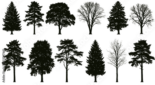 This versatile collection features various black tree silhouettes, encompassing both evergreen and deciduous types, ideal for graphic design projects.