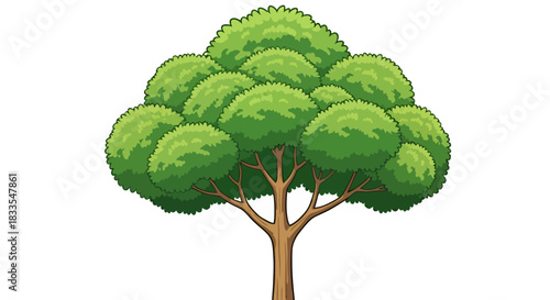A vibrant green tree with a full, rounded crown stands against a clean white background, perfect for adding a touch of nature to any design project.