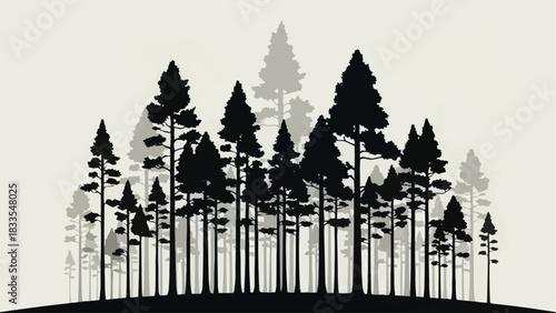 Silhouette of a dense forest with tall pine trees.