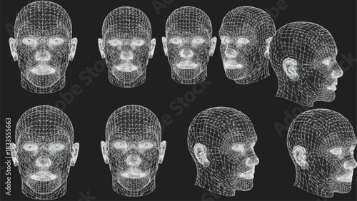 3D Wireframe Human Head Models in Various Angles.