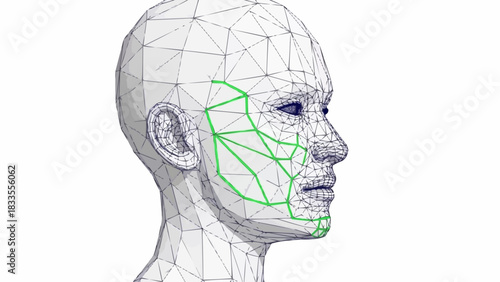 Wireframe Human Head With Facial Grid Overlay.