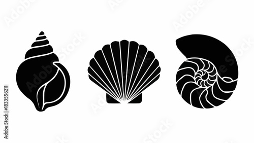 Three distinct black seashell silhouettes on a white background.
