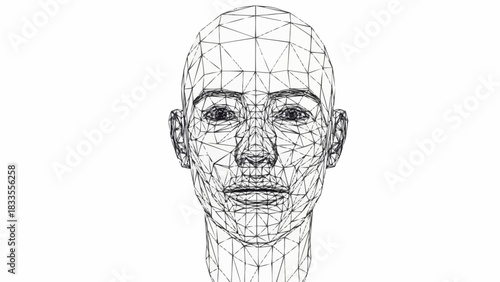 Polygonal wireframe model of a human face looking forward.