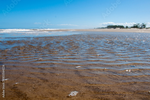 beautiful beach and blue sky at low tide with copy space
