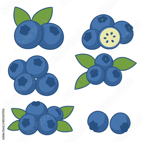 Collection of various sweet wild or cultivated blueberries with green leaves isolated on white vector illustration