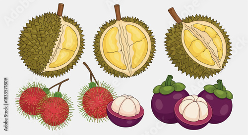Tropical fruits durian rambutan mangosteen collection