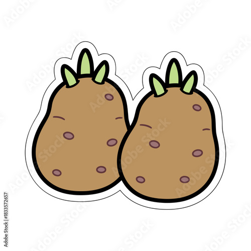 Two Brown Potatoes With Green Sprouts Growing From Top With Small Eyes Isolated on White Background