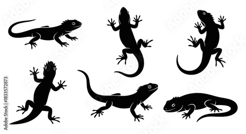 Collection of Black Silhouettes of Various Lizards in Different Poses.
