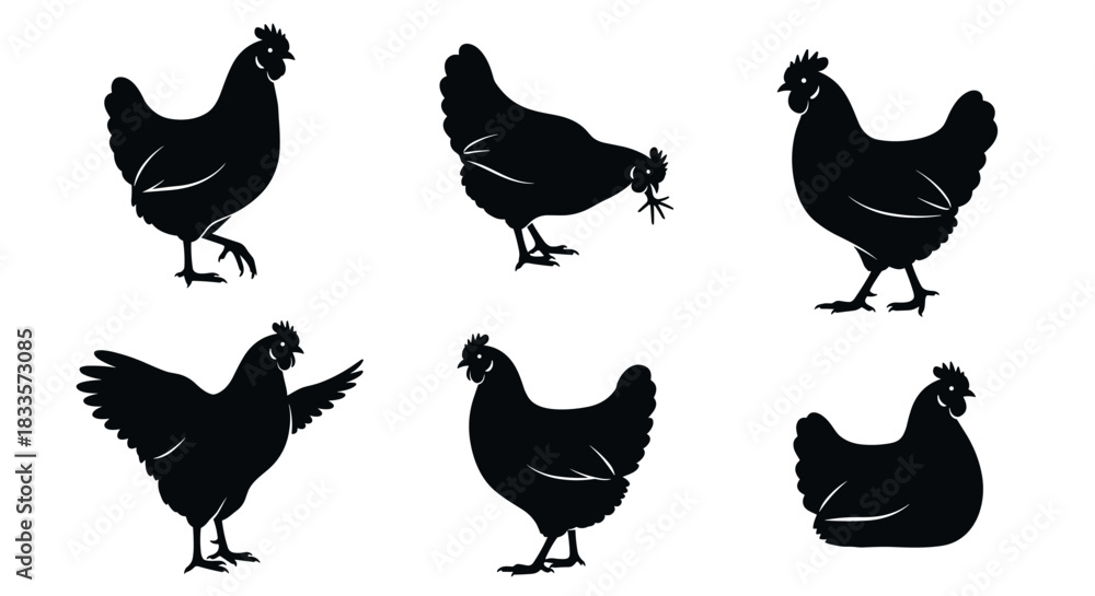 Fototapeta premium Collection of Six Black Chicken Silhouettes in Various Poses.